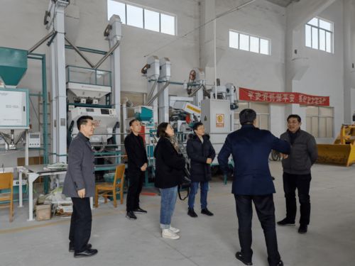 強化監管，護航春節農產品安全